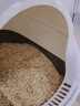pidan混合猫砂 豆腐膨润土皮蛋猫砂除臭遮臭结团快经典款2.4kg*4包 实拍图