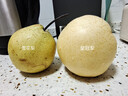 远达（YUANDA）河北皇冠梨赵县特产新鲜水果冰糖雪梨当季水果梨子整箱白梨脆甜 皇冠梨净重4.5斤（单果200g+） 实拍图