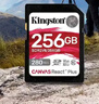 金士顿（Kingston）256GB SD存储卡 U3 V60 4K 数码相机内存卡 读速280MB/s 写速150MB/s 微单/单反相机 实拍图