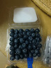 怡颗莓Driscoll's 云南蓝莓14mm+ 2盒装 约125g/盒 新鲜水果 实拍图