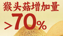 江中猴姑无糖微甜猴头菇养胃饼干中老年人营养早餐食品母亲节礼盒960g 实拍图