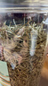 松下龙头净水器滤芯 TK-FUNJ51-C 自来水过滤器适配TK-EUNJ51W【价保618】 实拍图