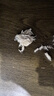诚实一口宠物猫零食罐营养湿粮原汁猫罐头鸡肉+金枪鱼（共2盒） 实拍图