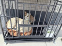 憨憨宠 狗笼 狗笼子中大型犬小型犬带厕所加粗加固金毛拉布拉多方管笼子 黑浮银94*64*83.5CM含轮高度 65斤内适用 实拍图