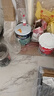多乐士（Dulux）京绽竹炭抗甲醛五合一净味室内乳胶漆墙面抗菌油漆涂料白色A8146P 大桶 白漆 不可调色 18L*1件 实拍图