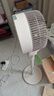 钻石牌（DIAMOND）【智能语音】空气循环扇家用电风扇落地扇宿舍卧室节能轻音立式风扇YY 实拍图