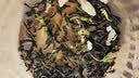 茉莉花茶云南高山毛尖浓香新茶制作奶茶茶叶浓香型耐泡花草茶绿茶 茉莉花茶25克*1袋 实拍图
