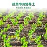 德沃多纯泥炭营养土40L植物有机种植颗粒土壤绿植养花土种菜蔬菜 实拍图
