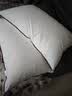 水星家纺枕头枕芯酒店枕头护颈枕头芯家用一对纯棉抗菌可水洗中枕48x74cm 实拍图