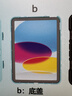 Apple/苹果 iPad11英寸 A16芯片2025年款 平板电脑 (256GB WLAN版/学习办公娱乐)蓝色 实拍图