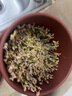 田园梦国补补贴生豆芽机家用全自动紫砂豆芽罐豆芽发芽神器食品级发花生 【加热款】大号紫砂+加热底座 实拍图