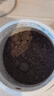 五谷磨房黑芝麻糊无糖核桃芝麻黑豆粉代餐粉546g 实拍图