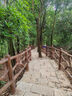 皇驰日产14代轩逸雨刮器适用20-24款原厂汽车前雨刷片胶条静音骨17+24 实拍图