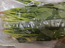 大菠菜300g 实拍图