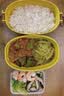生活元素（LIFE ELEMENT）插电式电热饭盒 便携式保温加热饭盒陶瓷内胆 便当盒热饭神器 1L双胆 F88 实拍图