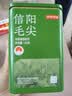 京东京造鲜来多26新茶信阳毛尖绿茶250g明前茶叶栗香嫩芽送礼盒自己喝自营 实拍图