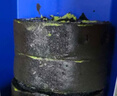 鲜京采the Roll'ING联名 黑金抹茶瑞士卷 500g/8片冰淇淋蛋糕面包甜品 实拍图