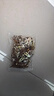 乐卡利 打入式石膏板膨胀螺丝 高锰钢彩锌石膏板专用膨胀钉铁飞机塞 实拍图