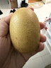佳沛（zespri）新西兰阳光金奇异果巨大果15粒礼盒 单果146-175g 猕猴桃水果礼盒 实拍图