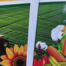 新越昌晖E11204-2打包带 半自动打包机专用热熔包装带 塑料PP手工捆扎带 约18斤/卷（白色） 实拍图