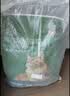 京东京造 全价冻干双拼成猫粮10kg [宠爱系列]多肉冻干全品种通用鱼油果蔬 实拍图
