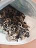 十月稻田 东北黑木耳 500g 菌菇  黑龙江东宁特产 肉厚无根 火锅煲汤炒菜 实拍图