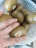 佳沛（zespri）新西兰阳光金果10个装单果重约103-114g 水果礼盒 猕猴桃 实拍图