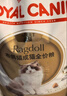 皇家猫粮 英短幼猫粮 BSK38 通用粮 4-12月 2KG 实拍图