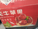 小哈伦儿童马桶婴儿坐便器婴幼儿尿盆小孩宝宝小便器升级3D软垫托帕绿 实拍图