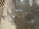 物生物（RELEA）玻璃杯男女士茶水分离杯耐高温办公泡茶杯带把高硼硅水杯花茶杯子 实拍图