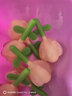 周十五益生菌蜂蜜露孕妇开塞蜜露待产包用专利软管哺乳产后月子护理蜜栓 实拍图