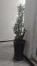 营养土养花种菜土壤有机兰花多肉植物盆栽种植椰砖土通用型 有机营养土120斤-园艺师专研配方 实拍图