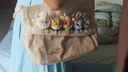 迪士尼（Disney）疯狂动物城女孩生日礼物玩偶单肩包托特包实用大容量朱迪尼克包包 实拍图