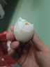 志高（CHIGO）煮蛋器2025新款蒸蛋器多功能家用小型煮鸡蛋早餐神器蒸煮一体机预约定时ZDQ-03 双层 配防烫蛋架+蒸笼+蒸碗 实拍图