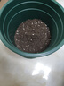 花盆绿植盆栽加厚塑料简约多肉小盆阳台客厅月季玫瑰大号家用花盆 高款2加仑(口径22cm)2个盆 配套托盘 实拍图
