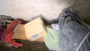 洁丽雅毛巾 7A抗菌A类加厚吸水毛巾男女洗脸干发运动大面巾 灰+绿2条 实拍图