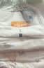 宜婴新梦想家全包臀小内裤L38片拉拉裤超薄透气【品牌直供 安心品质】 实拍图
