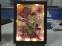 京霁 立体干花相框中空3cm贝壳标本永生花植物装裱画框摆台生日礼物 胡桃木色8寸中空3cm 【17*22cm】 实拍图