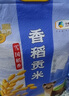福临门 雪国稻香 香稻贡米 东北大米 10斤 实拍图