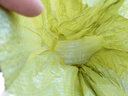 碧灵（BLING） 透明硅胶管硅胶橡管 耐高温软管无毒无味 四季柔软4/5/6/8/10/12 内径10mm*外径12mm（1米价格） 实拍图