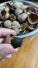 十月稻田 桂圆干 500g 带壳龙眼干 肉厚甘甜 休闲零食 枸杞红枣泡茶八宝粥 实拍图