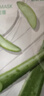 悦诗风吟（innisfree）鲜萃肌活面膜[芦荟]10片保湿补水舒缓改善暗沉情人节520礼物 实拍图