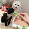 多特思猫零食猫条混合口味55支整桶装成猫幼猫咪零食湿粮 实拍图