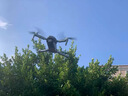 大疆 DJI Flip 全能 Vlog 航拍机 户外露营旅游运动便携高清防抖 轻型无人机 迷你语音遥控飞机 实拍图