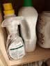滴露（Dettol）衣物除菌液松木3L 内衣袜子衣物长效杀菌除螨 衣服消毒液儿童可用 实拍图