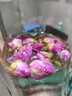 福东海  玫瑰花茶100g花草茶大朵【特优当季新货】平阴重瓣干 养生茶叶 实拍图