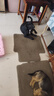 馋不腻天然狗粮幼犬美毛泰迪金毛柯基小型中大型大型通用幼犬粮2.5kg 实拍图