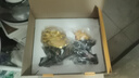 铜雀天骄白菜金蟾招财摆件新店公司开业大吉高档礼物乔迁礼品大摆件高级感 沙金色尺寸约35*13*25cm 实拍图