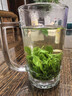 正宗苦丁茶贵州余庆小叶苦丁茶明前嫩叶2026年新茶青山绿水花草茶 500g袋装【正宗小叶苦丁茶】 产地直发/源头厂家 实拍图