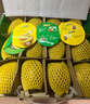 佳沛（zespri）新西兰 阳光金奇异果12粒特大果单果124-146g 猕猴桃水果礼盒 实拍图